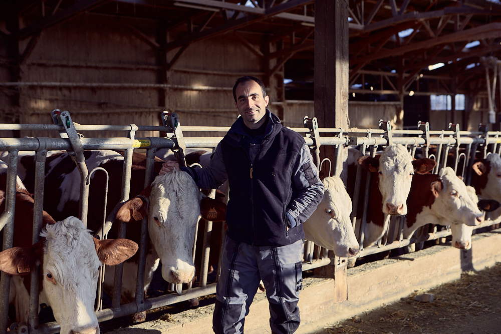 Producteur de lait de vache - Adrien Reulier